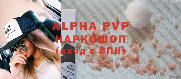спиды Богданович