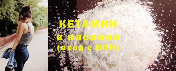 спиды Богданович