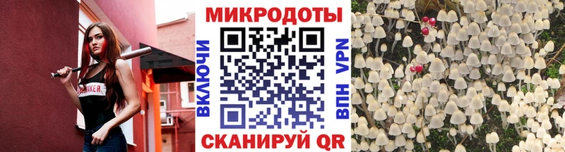 Галлюциногенные грибы прущие грибы  Белорецк 